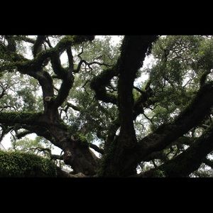 Meet your Posher, Kaylei